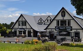 Salty Dog Inn